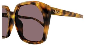 zonnebril Chloé CH0280