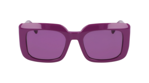 Longchamp Lo753 500