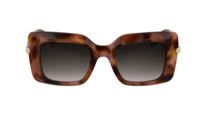 Longchamp Lo776 690