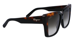 Zonnebril Ferragamo SF1060