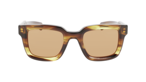 Zonnebril Ferragamo SF1064