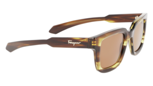 Zonnebril Ferragamo SF1064
