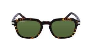 Zonnebril Ferragamo SF1089