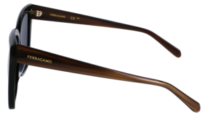 Zonnebril Ferragamo SF1102