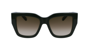 Zonnebril Ferragamo SF1104