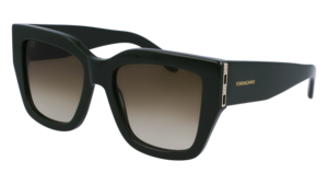 Zonnebril Ferragamo SF1104