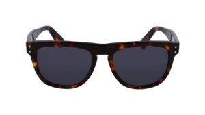 Zonnebril Ferragamo SF1111