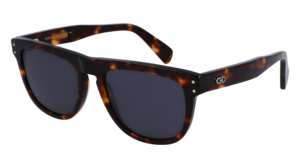 Zonnebril Ferragamo SF1111