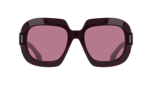 Zonnebril Ferragamo SF2068