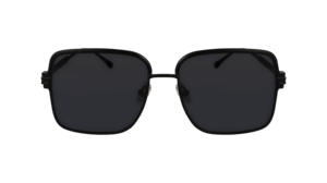 Ferragamo SF317s 