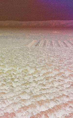 alpagota_cleansing_spray_vision_1_02_1.