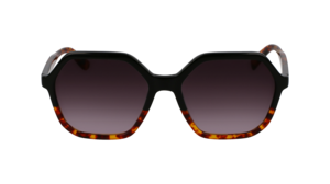 Zonnebril Longchamp LO760 011