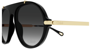 Zonnebril Chloe ch0357s-001